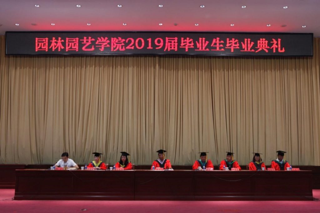 手机娱乐