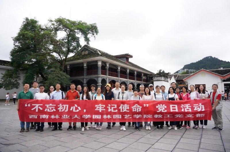 手机娱乐