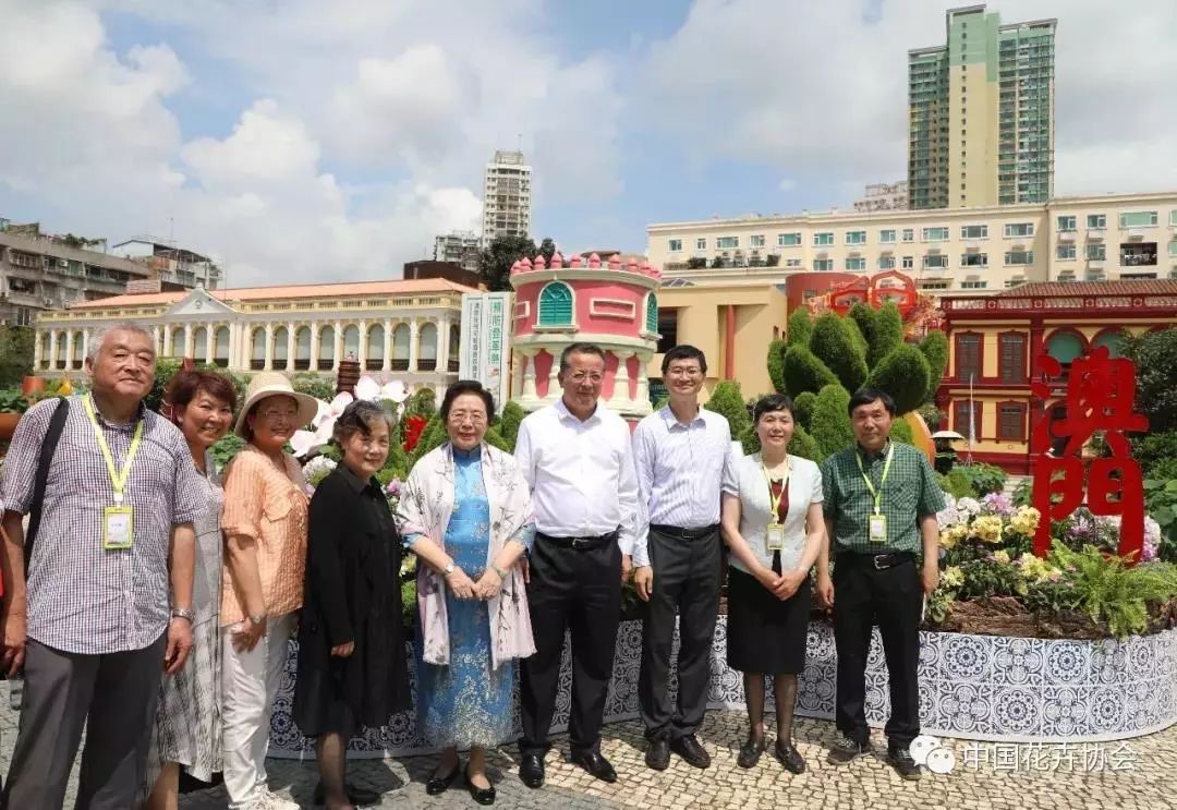 手机娱乐