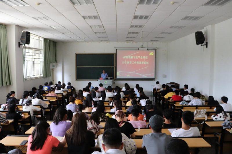 手机娱乐