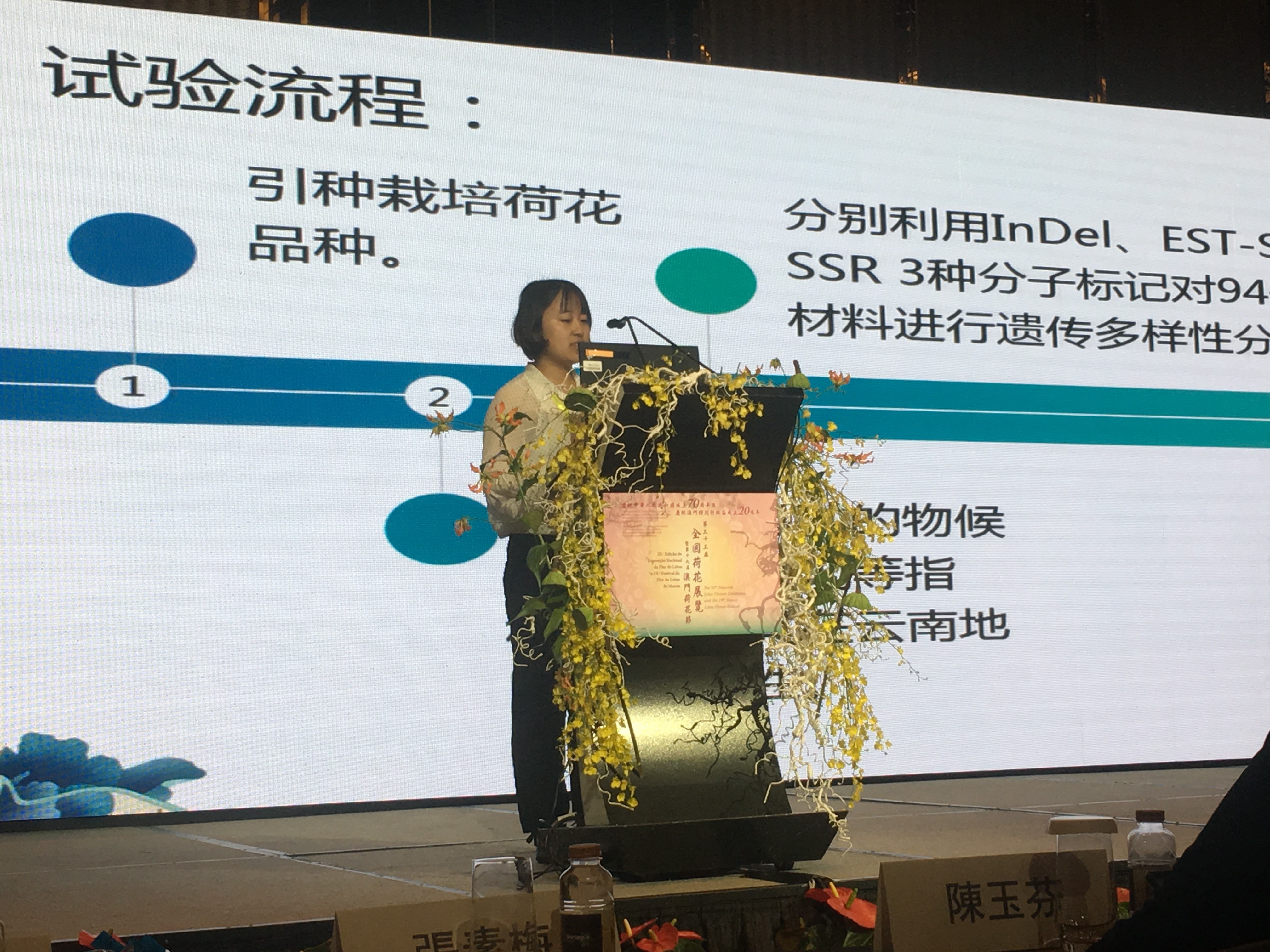 手机娱乐