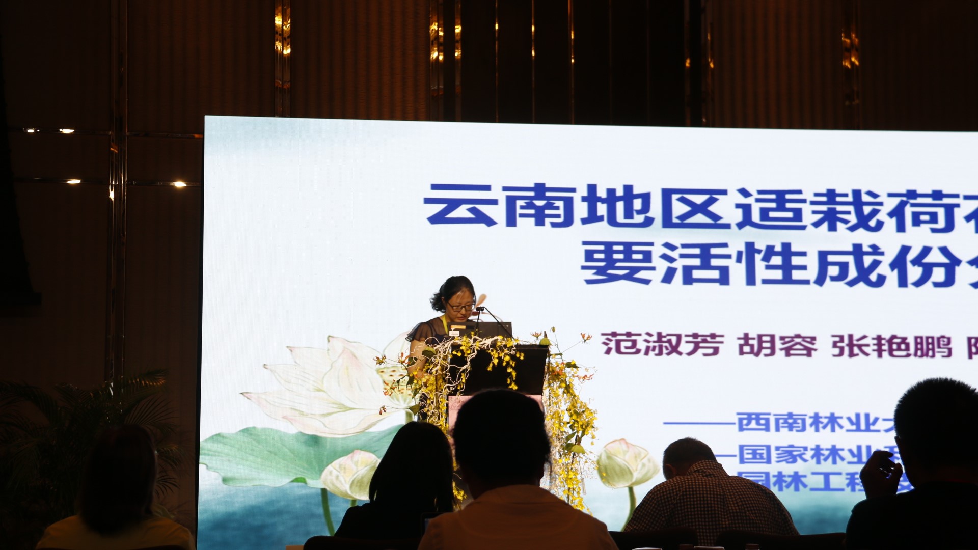 手机娱乐
