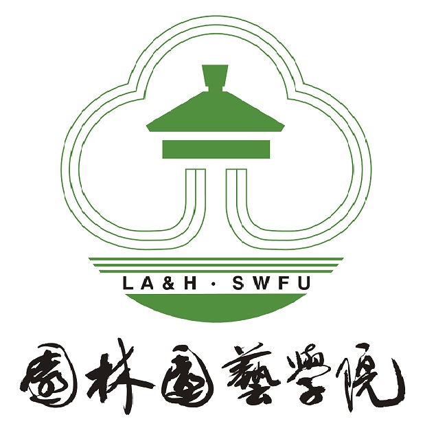 手机娱乐
