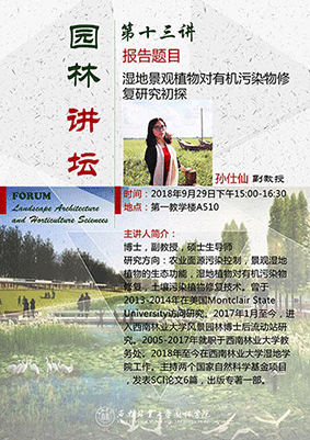 手机娱乐