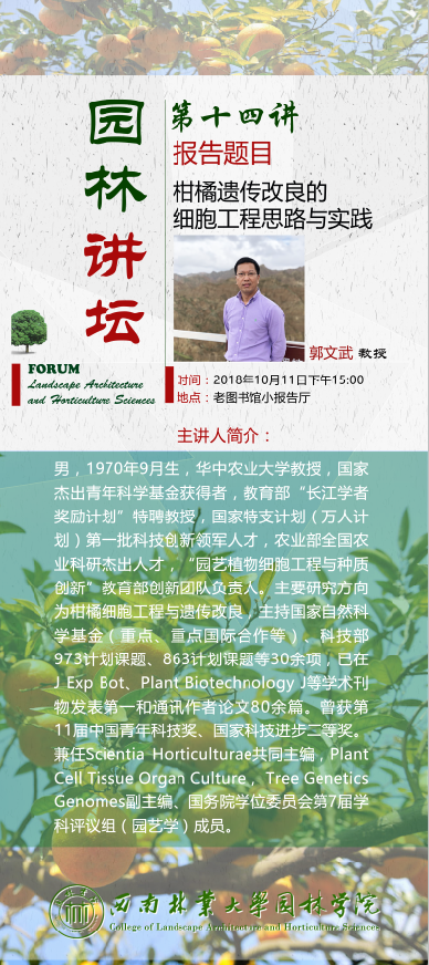 手机娱乐