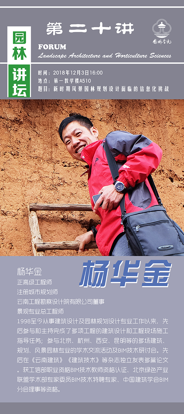 手机娱乐