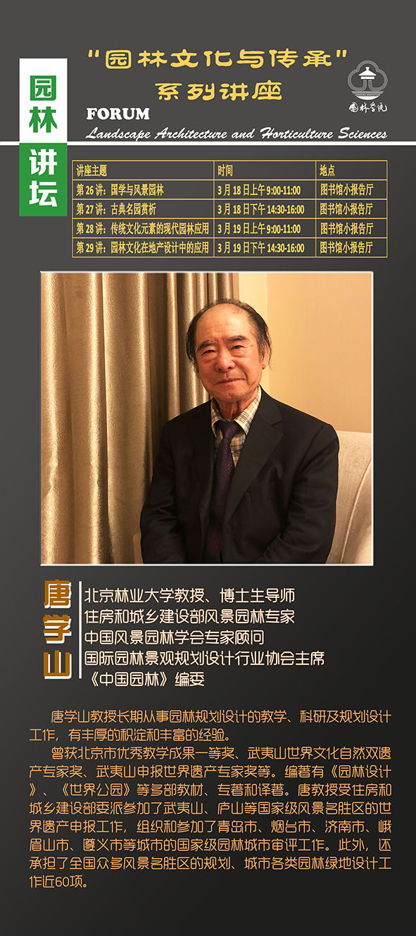 手机娱乐