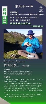 手机娱乐