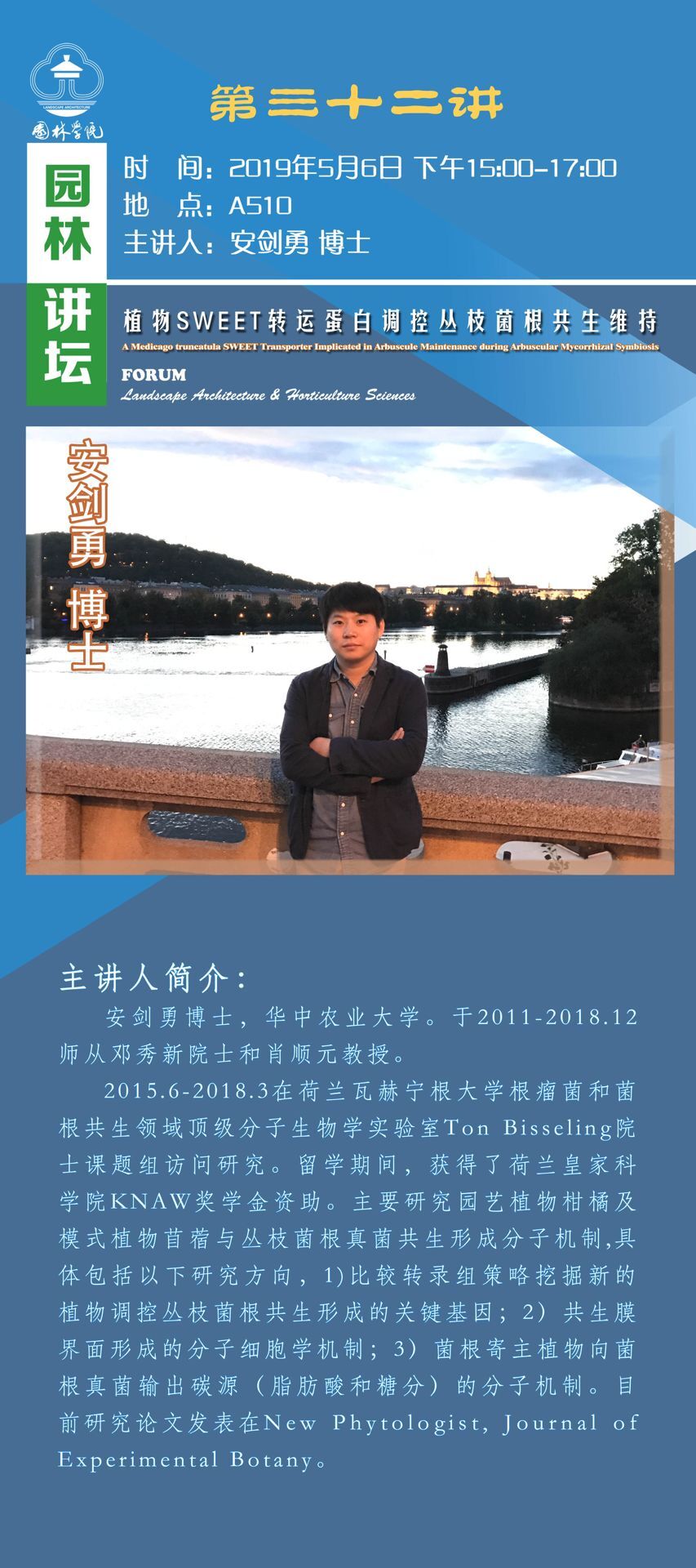 手机娱乐