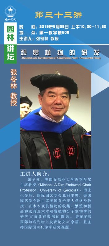 手机娱乐