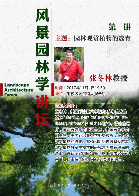 手机娱乐