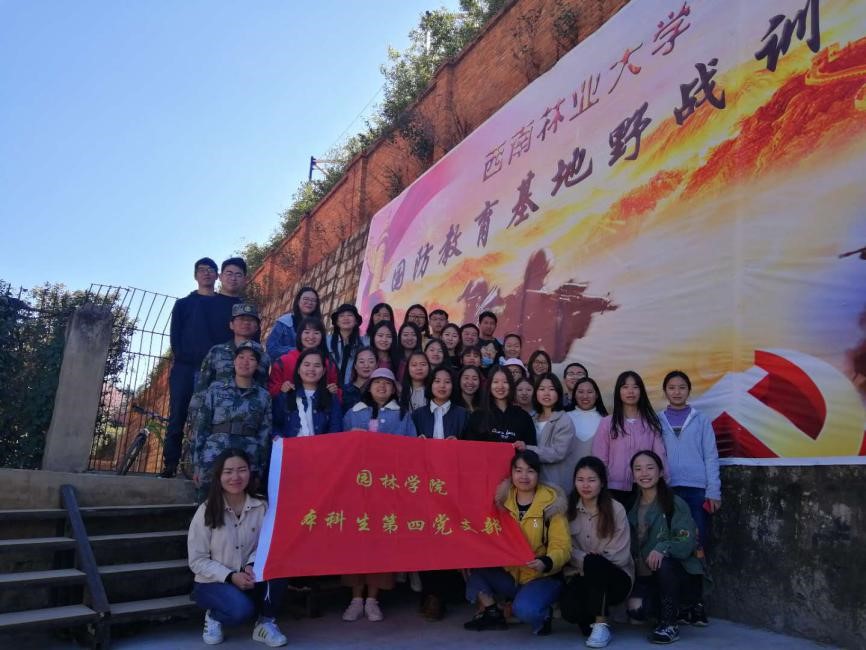 手机娱乐