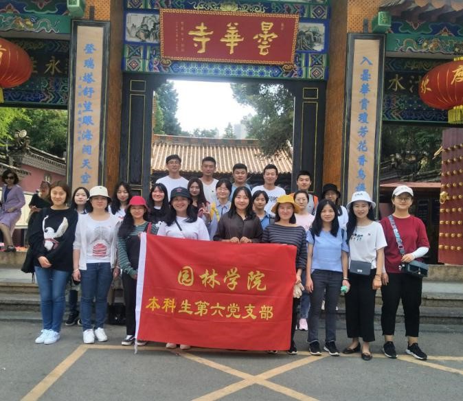 手机娱乐