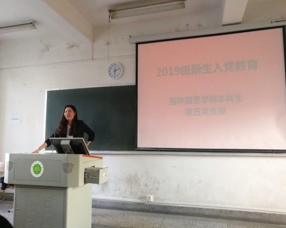 手机娱乐