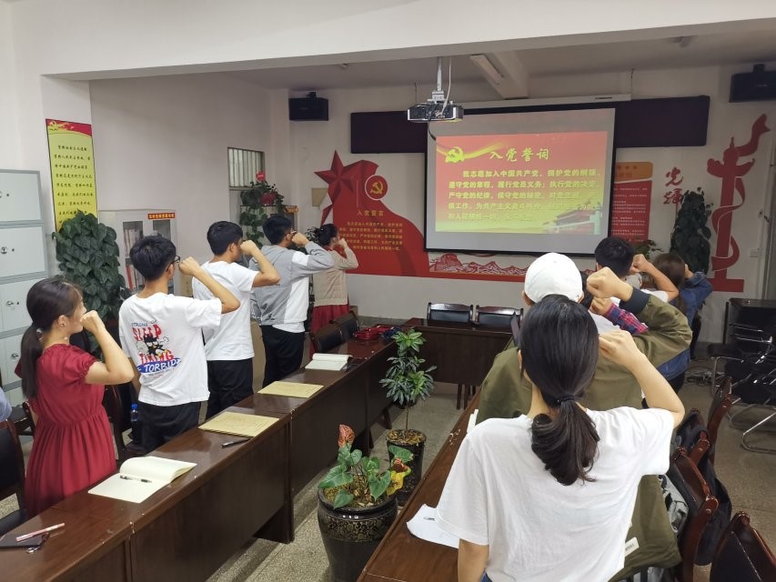 手机娱乐