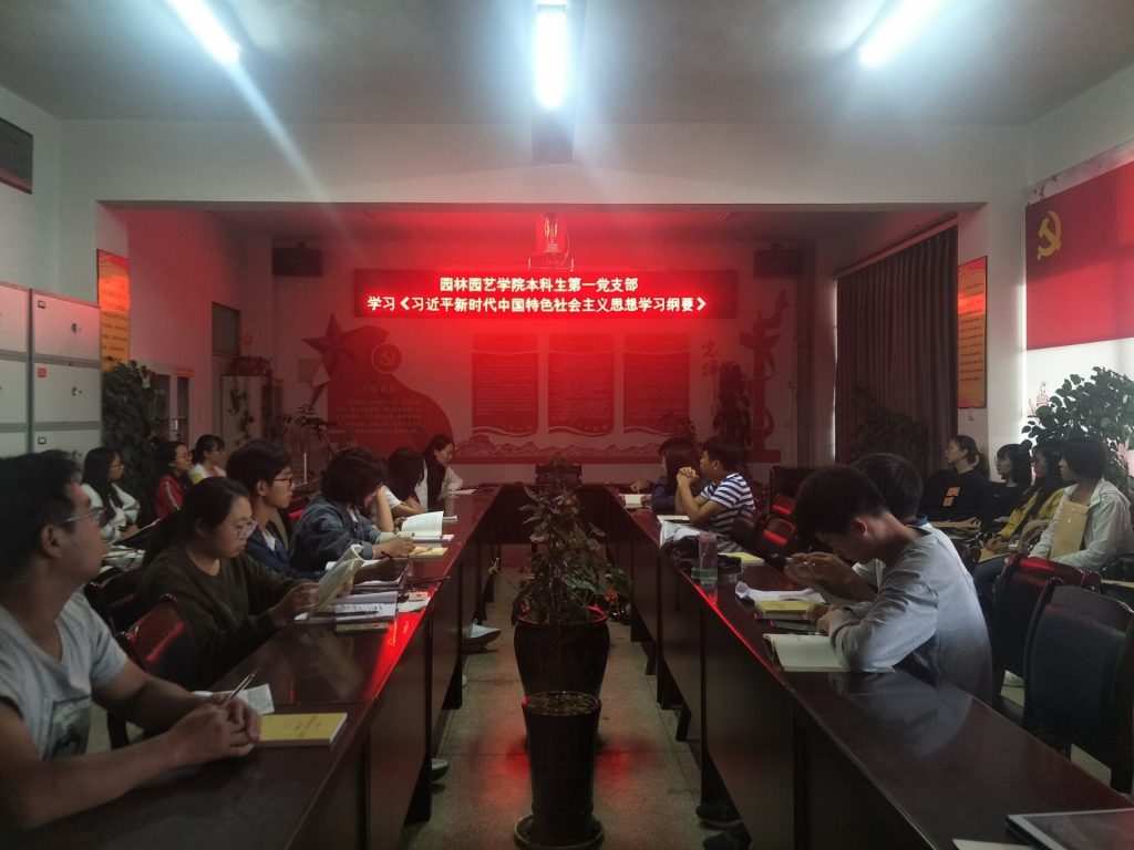 手机娱乐