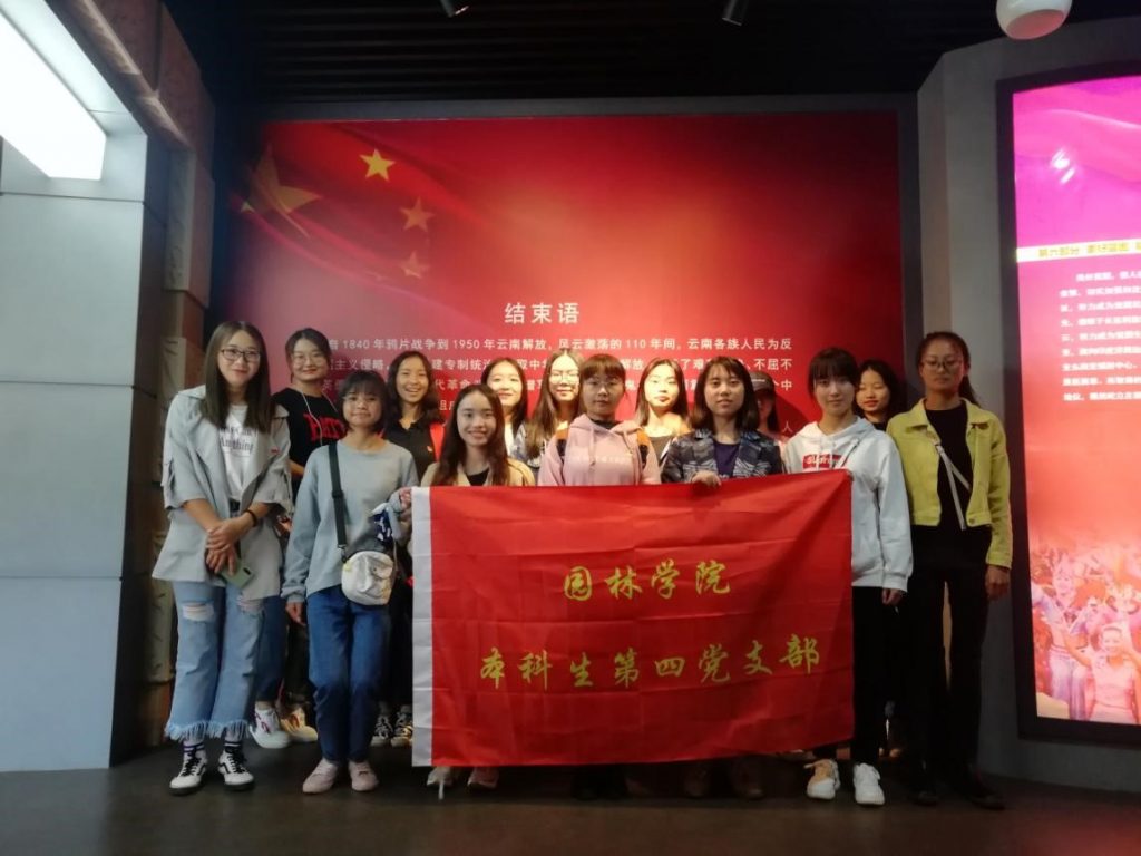 手机娱乐