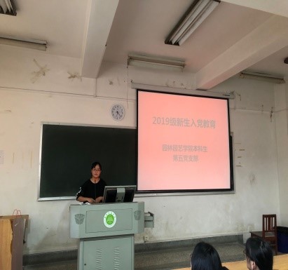 手机娱乐