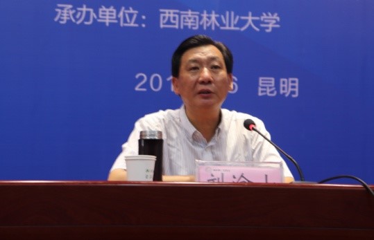 手机娱乐