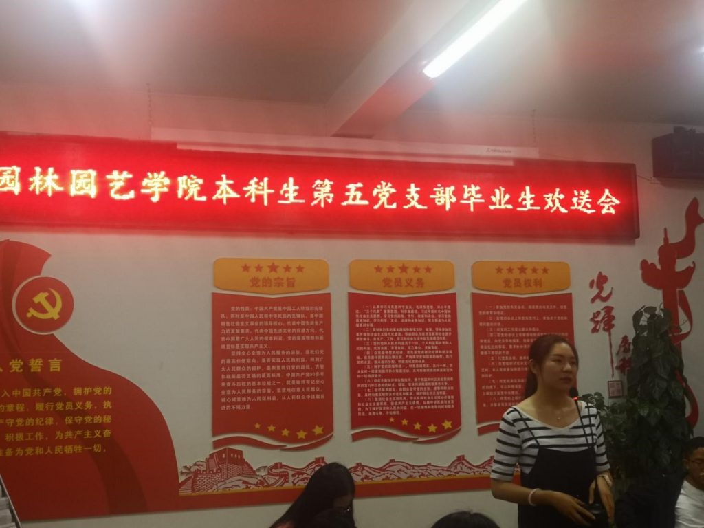 手机娱乐