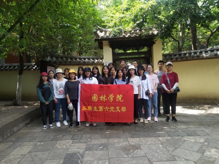 手机娱乐