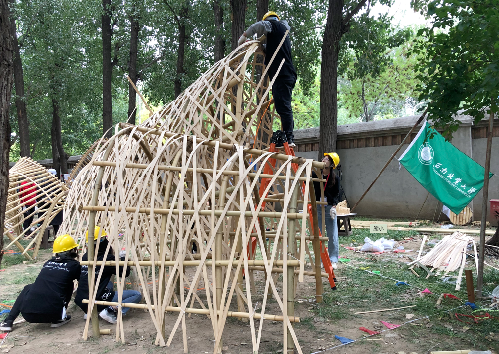 手机娱乐