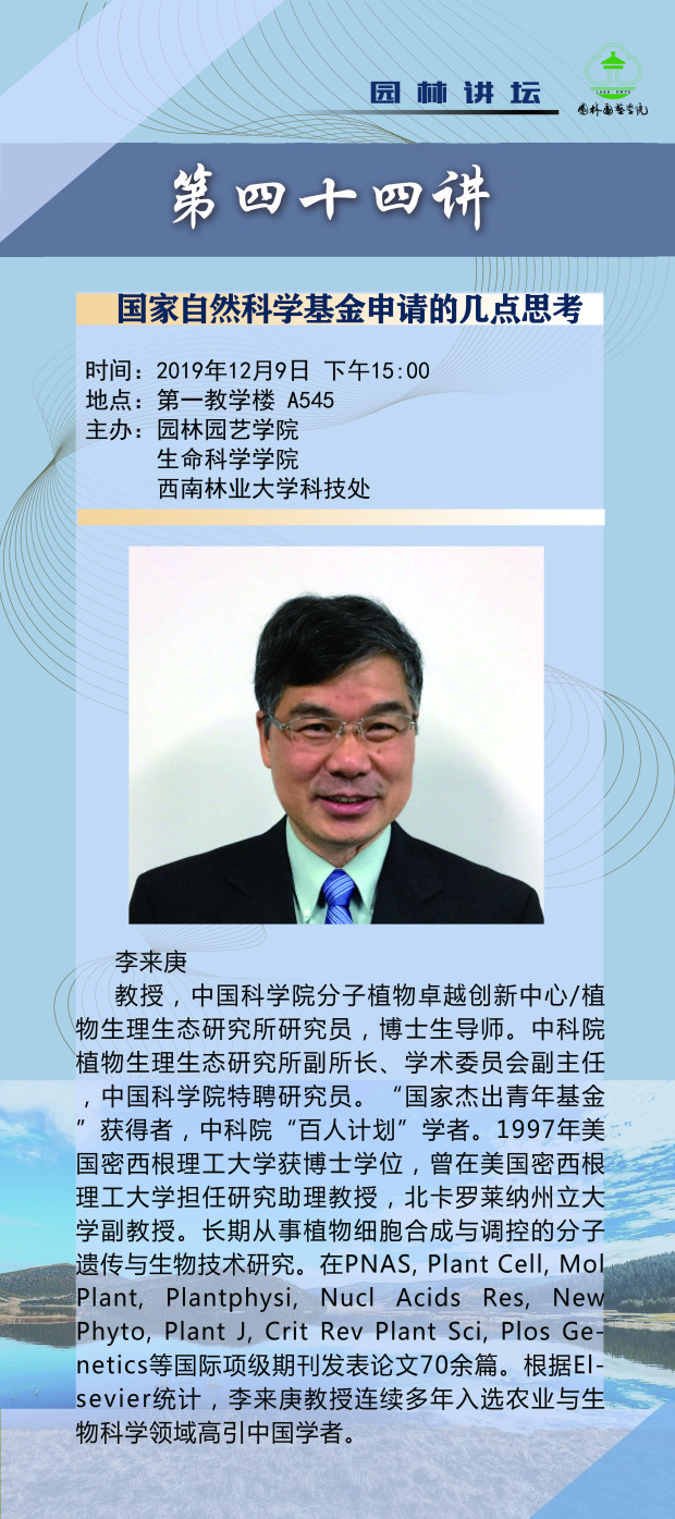 手机娱乐