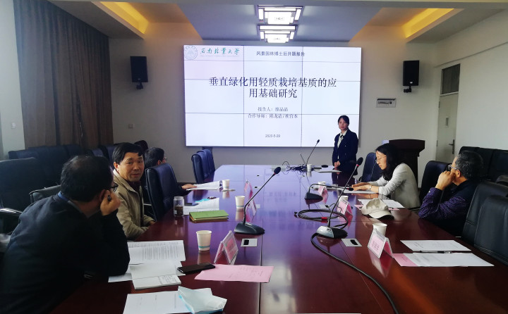 手机娱乐