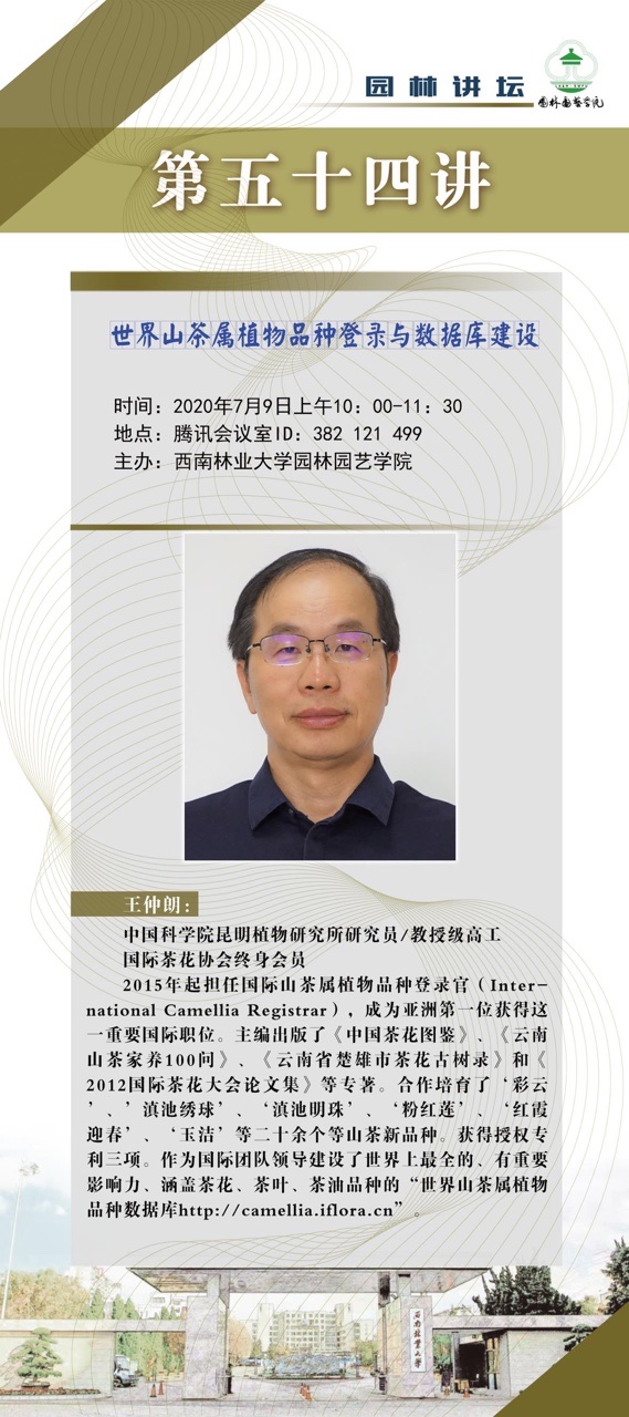 手机娱乐