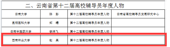 手机娱乐