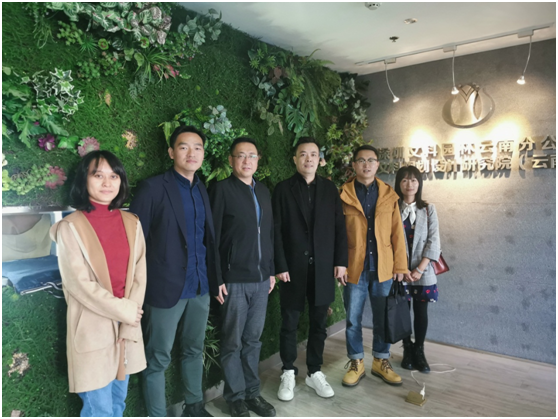 手机娱乐
