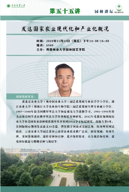 手机娱乐