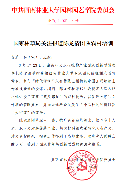 手机娱乐