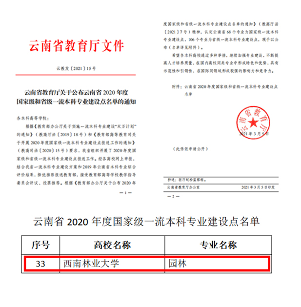 手机娱乐
