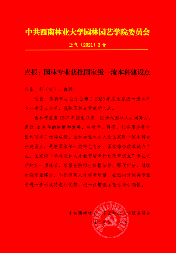 手机娱乐
