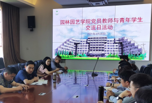 手机娱乐