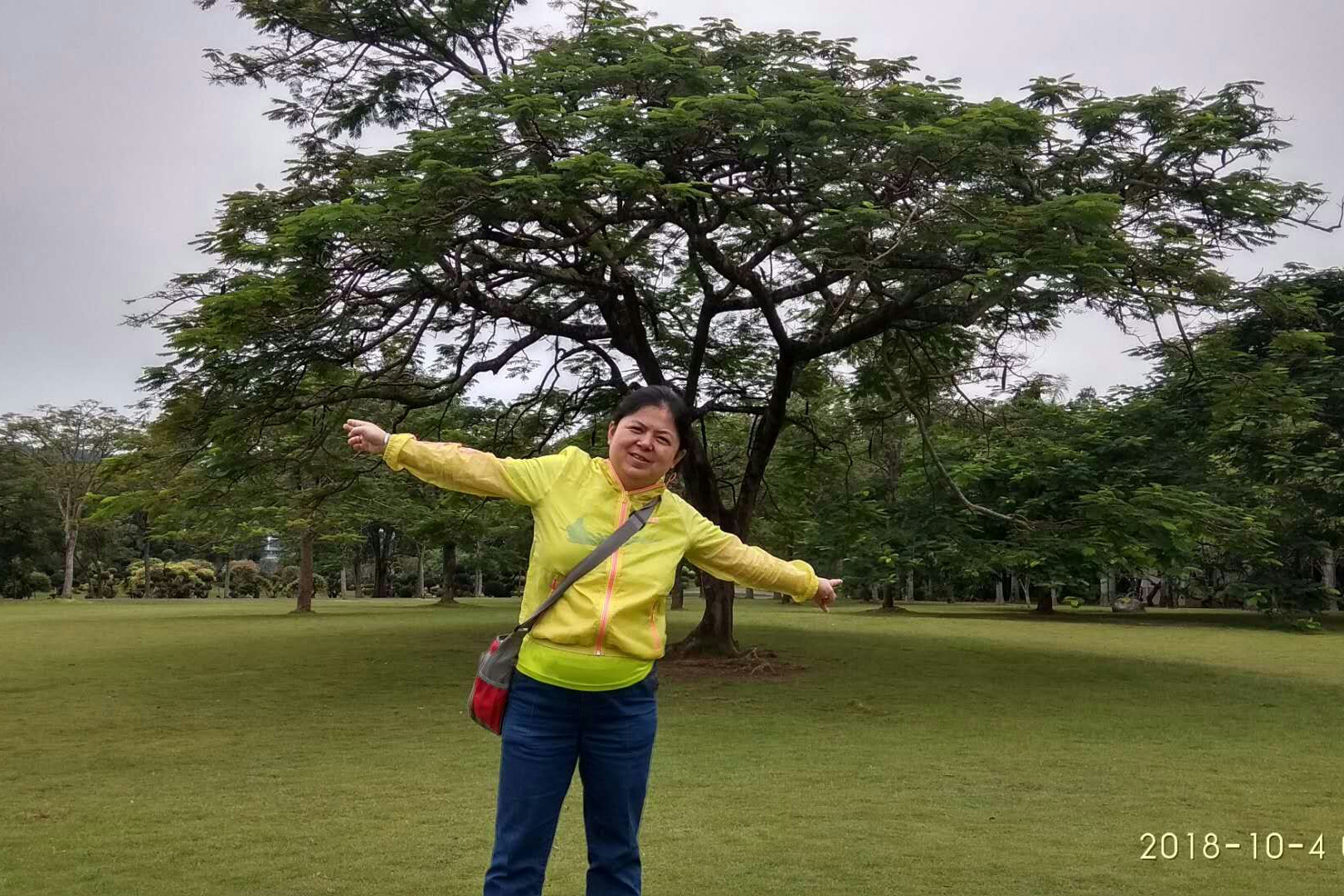 手机娱乐