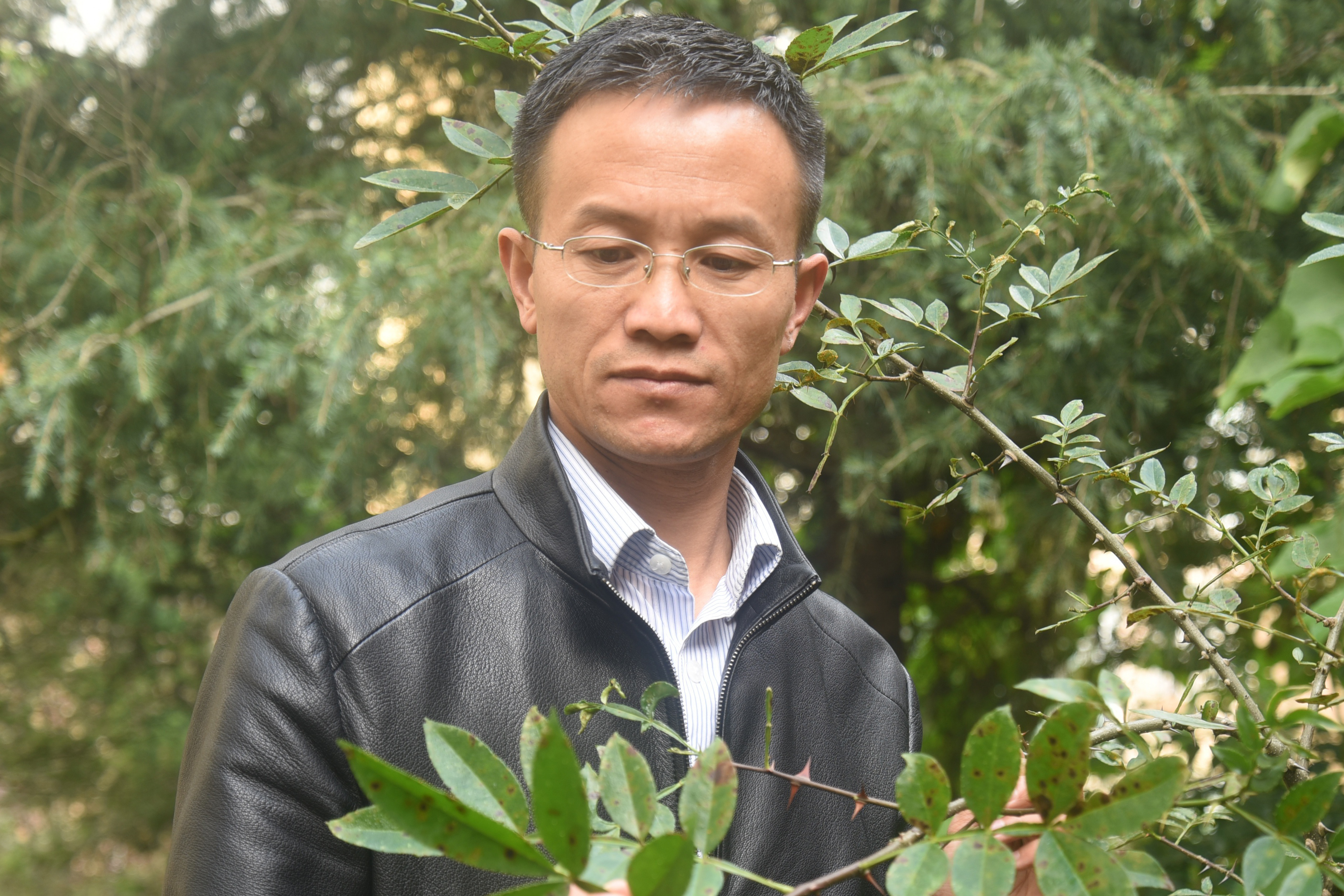 手机娱乐