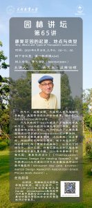 手机娱乐