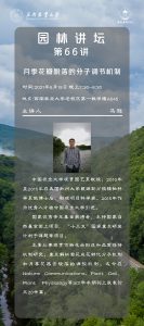 手机娱乐