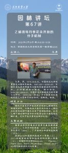 手机娱乐