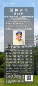 手机娱乐