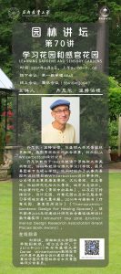 手机娱乐