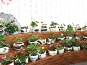 手机娱乐