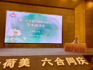 手机娱乐
