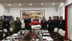 手机娱乐