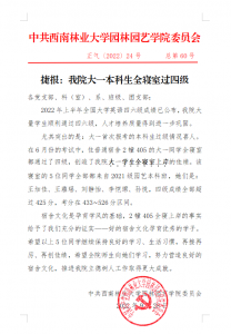 手机娱乐