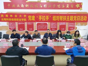 手机娱乐