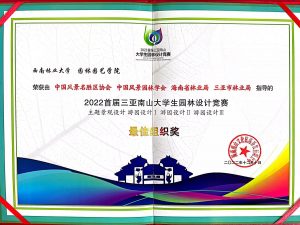 手机娱乐