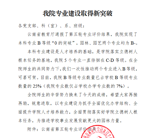 手机娱乐